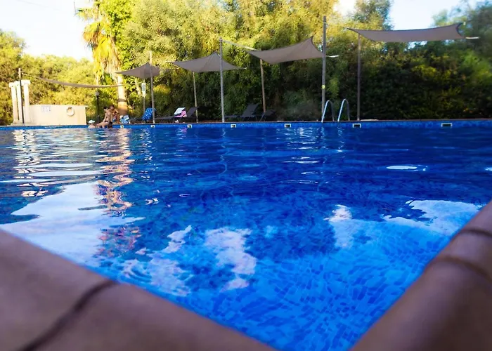 Pet friendly Nissi Elena -Sunshine Apt Ayia Napa